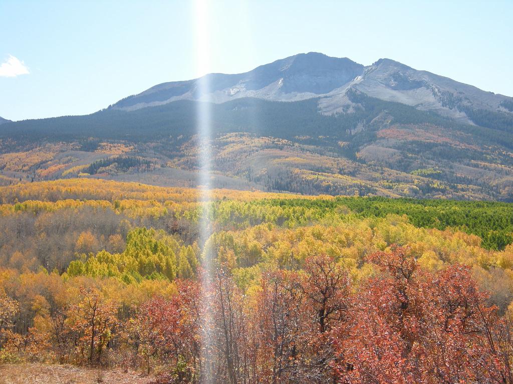 fall09 094